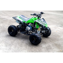 Alta qualidade 110cc Quad Bike para venda (JY-100-1A)